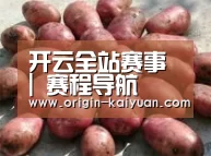 产品展示标题5