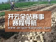 种植基地八