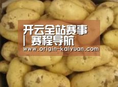 产品展示标题6
