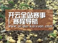 种植基地七