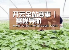 种植基地三