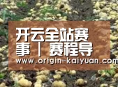 种植基地八(图1)