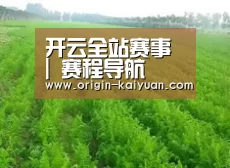 种植基地四