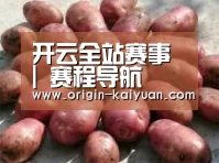 产品展示标题5(图1)