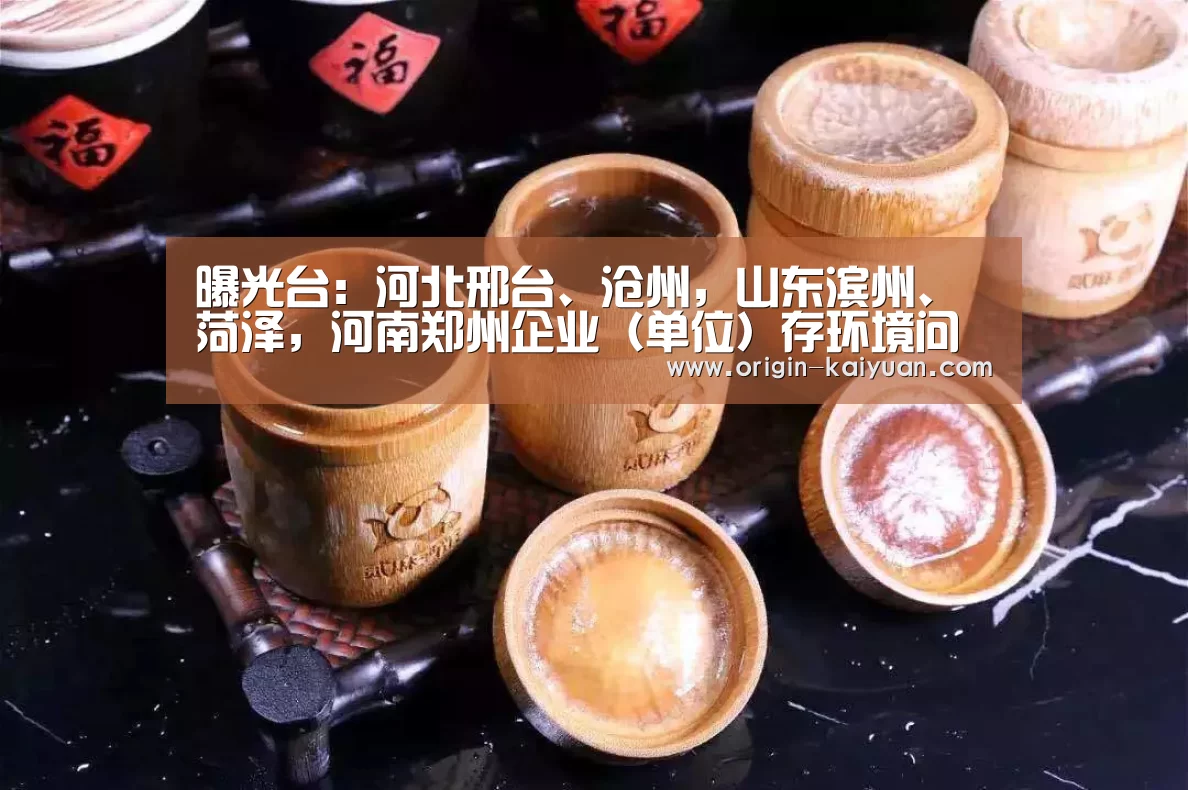 曝光台:河北邢台、沧州,山东滨州、菏泽,河南郑州企业(单位)存环境问题“开元棋牌官网”(图2) 开元