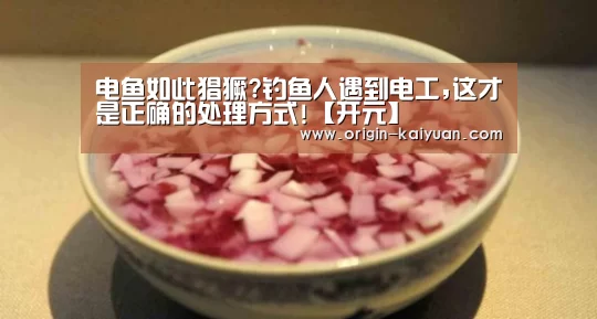 电鱼如此猖獗?钓鱼人遇到电工,这才是正确的处理方式!【开元】(图4) 开元