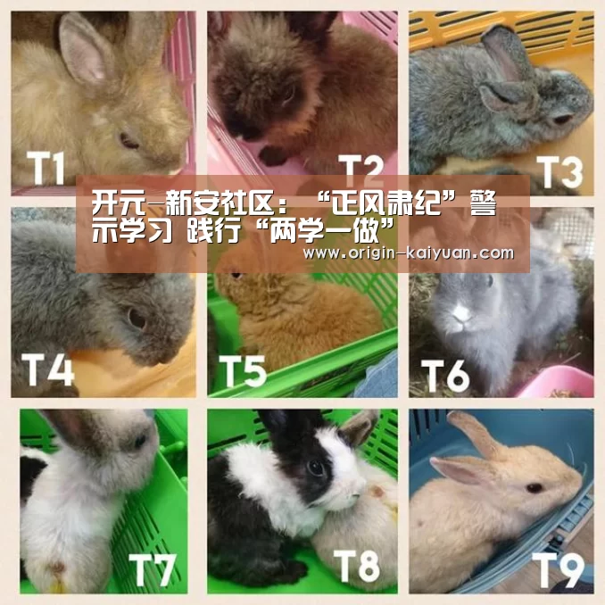 开元-新安社区:“正风肃纪”警示学习 践行“两学一做”(图1) 开元